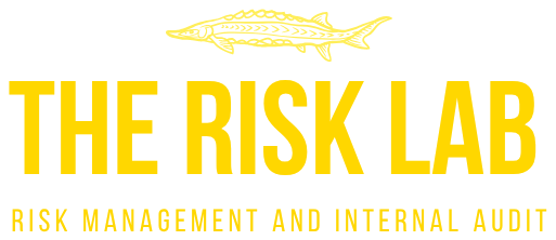 The Risk Lab — Risk Management and Internal Audit